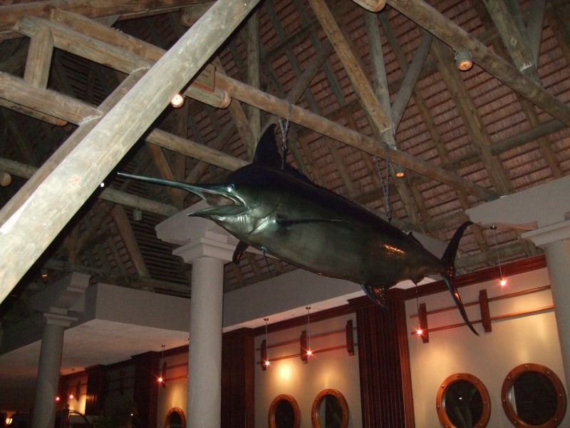 Mauritius 2010 - 0373 